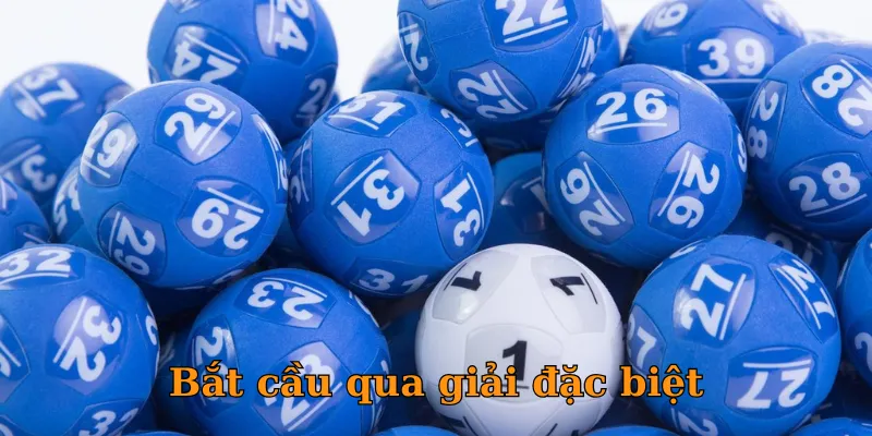 Bắt cầu qua giải đặc biệt
