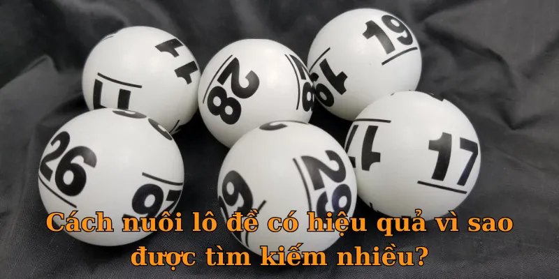 Cách nuôi lô đề có hiệu quả vì sao được tìm kiếm nhiều?