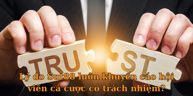 Lý do Sut88 luôn khuyến cáo hội viên cá cược có trách nhiệm?