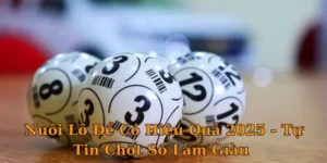 Nuôi Lô Đề Có Hiệu Quả 2025 - Tự Tin Chốt Số Làm Giàu