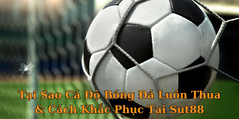 Tại Sao Cá Độ Bóng Đá Luôn Thua & Cách Khắc Phục Tại Sut88